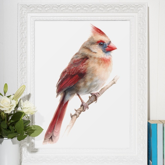Watercolor Female Cardinal Bird Wall Art Print Unframed - Picture 6 of 7